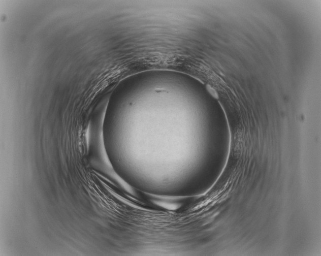 X0000087361202200704201138