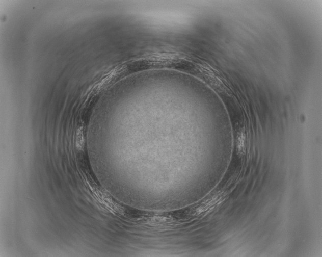 X0000087361204200704201138