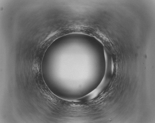 X0000087361206200704201138