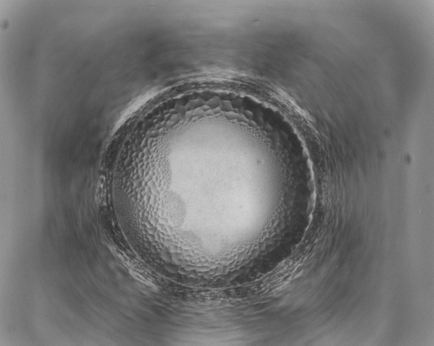 X0000087361208200704201138
