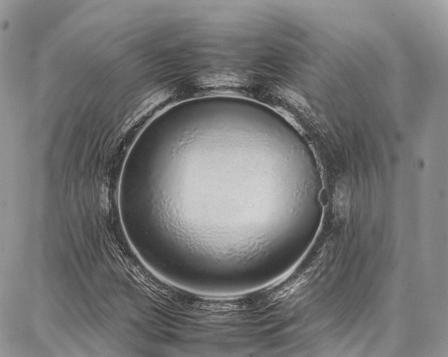 X0000087361209200704201139