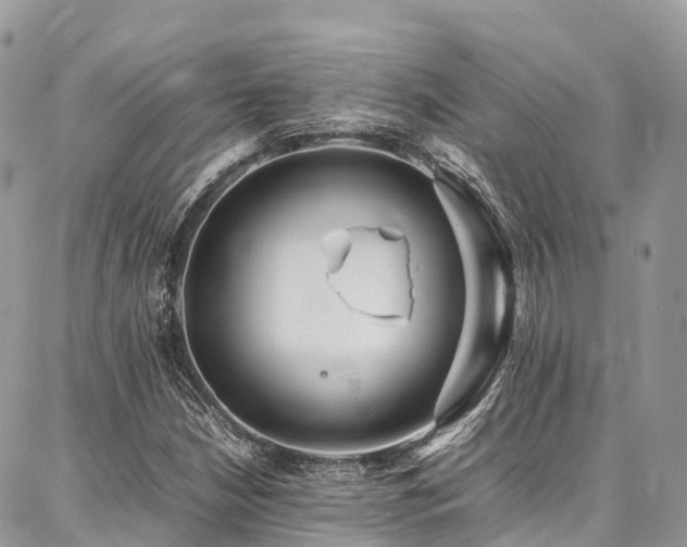 X0000087361210200704201139