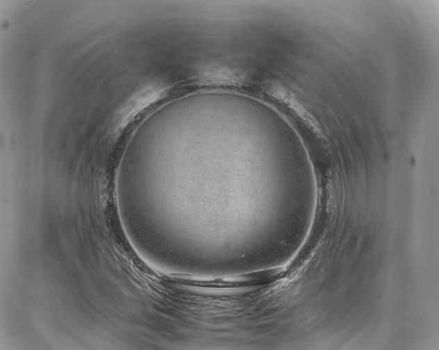X0000087361213200704201139
