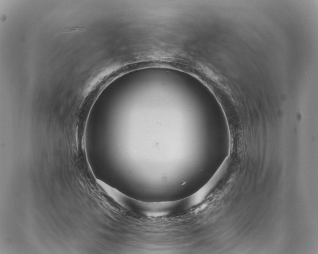 X0000087361214200704201139
