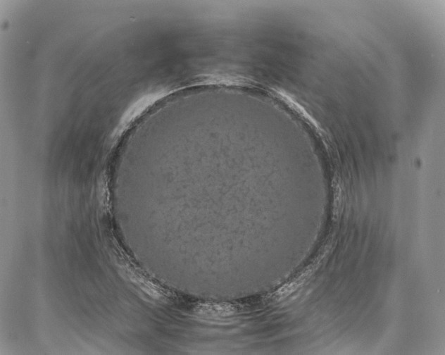 X0000087361215200704201139