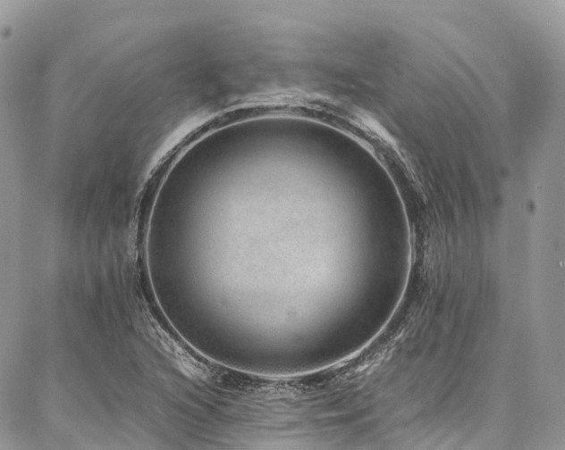 X0000087361216200704201139
