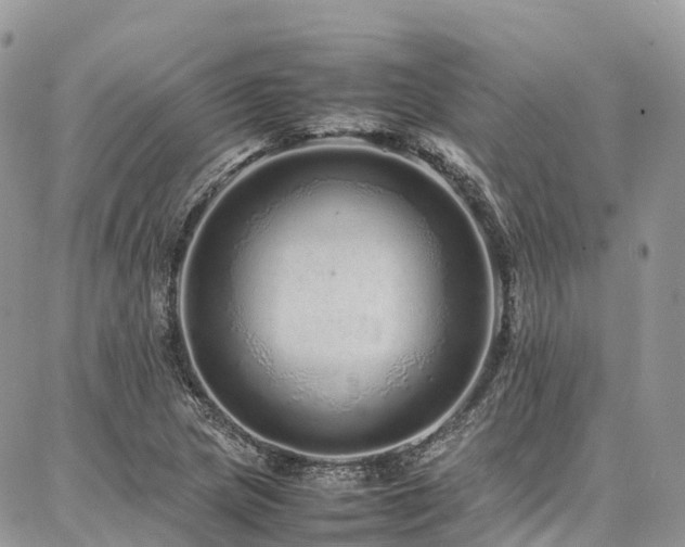 X0000087361217200704201139