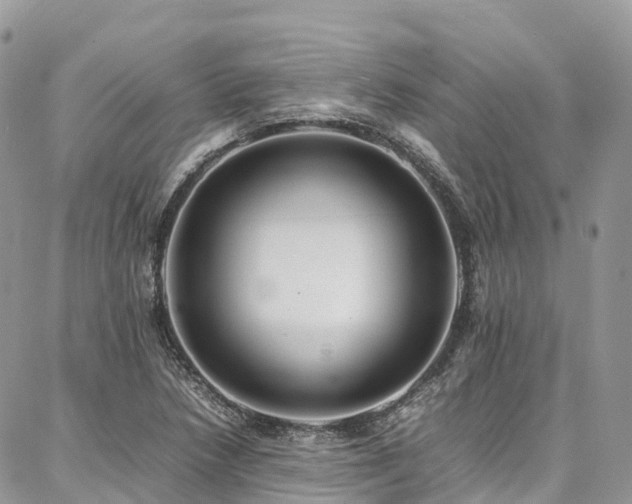 X0000087361218200704201139
