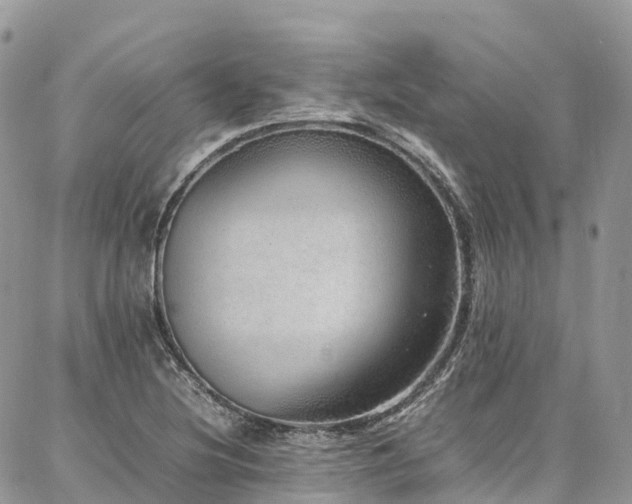 X0000087361220200704201139