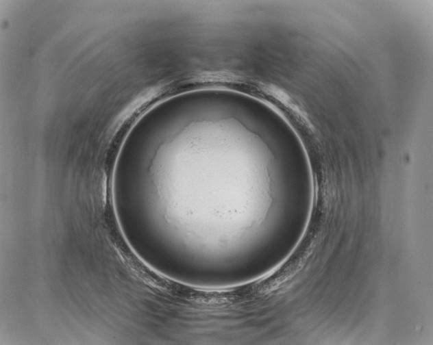 X0000087361221200704201139