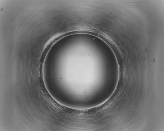 X0000087361222200704201139