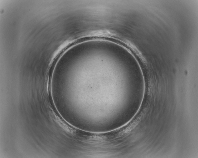 X0000087361224200704201139