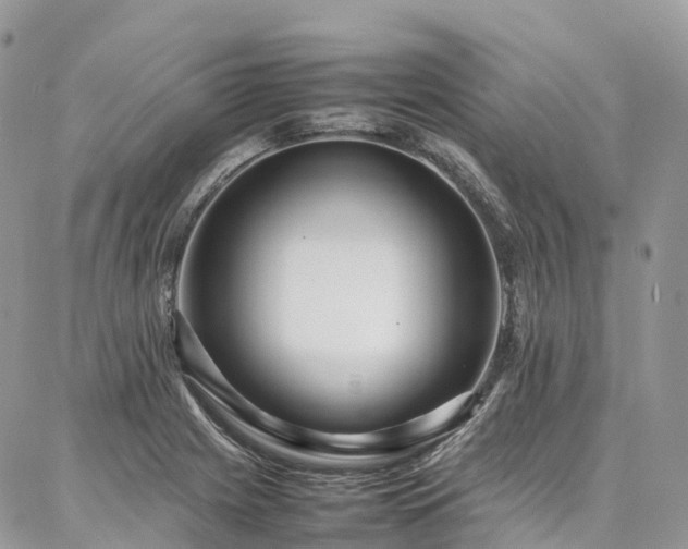 X0000087361225200704201139