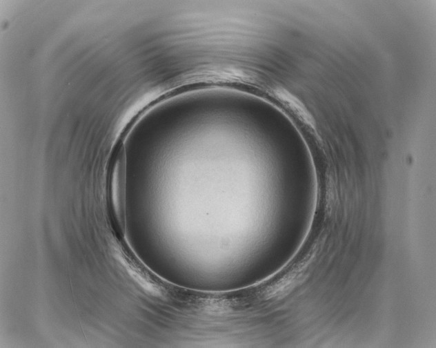 X0000087361226200704201139