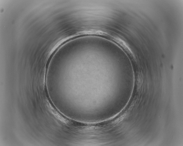 X0000087361228200704201139