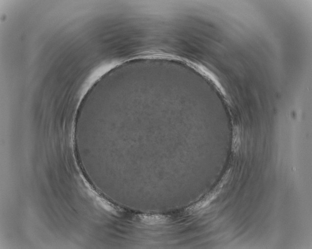 X0000087361231200704201139