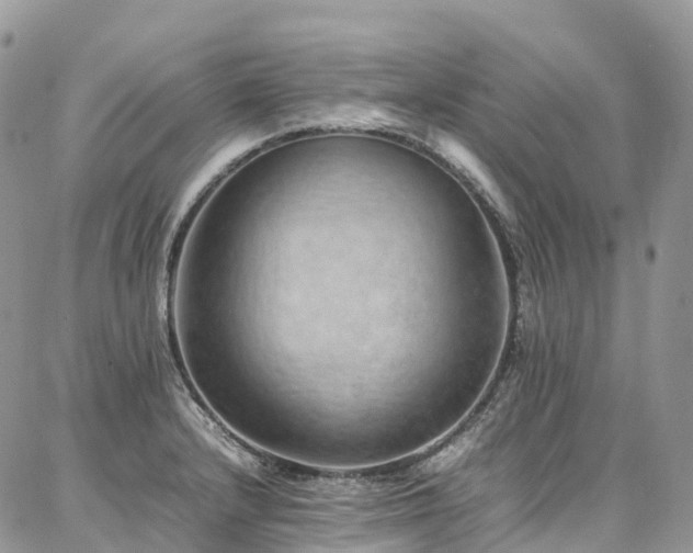 X0000087361232200704201139
