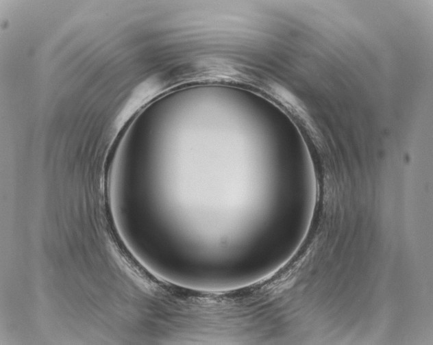 X0000087361234200704201139