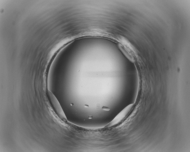 X0000087361238200704201139