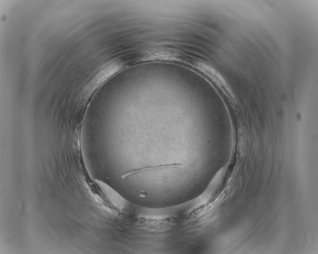 X0000087361241200704201139