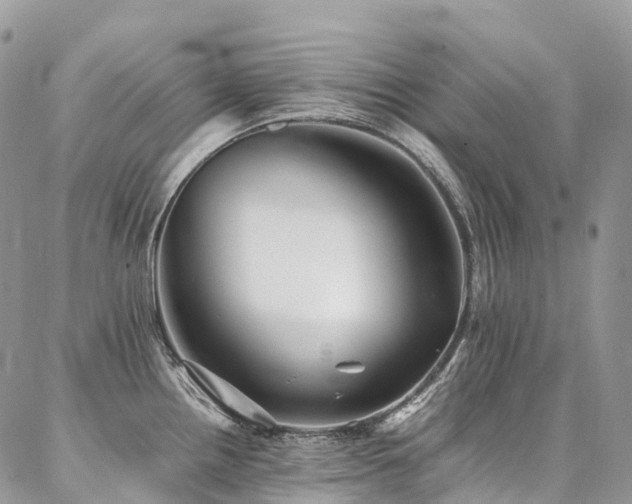X0000087361242200704201139