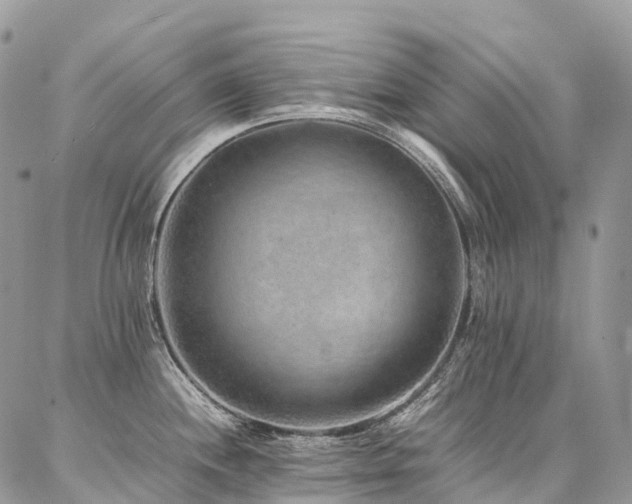 X0000087361244200704201139