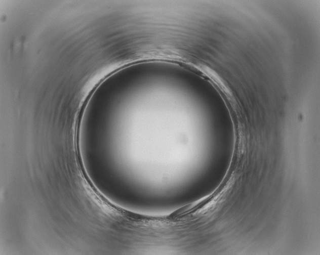 X0000087361246200704201139