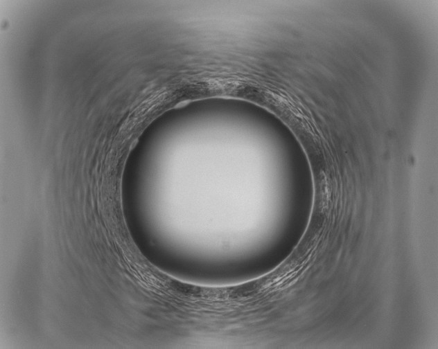 X0000087361249200704201138