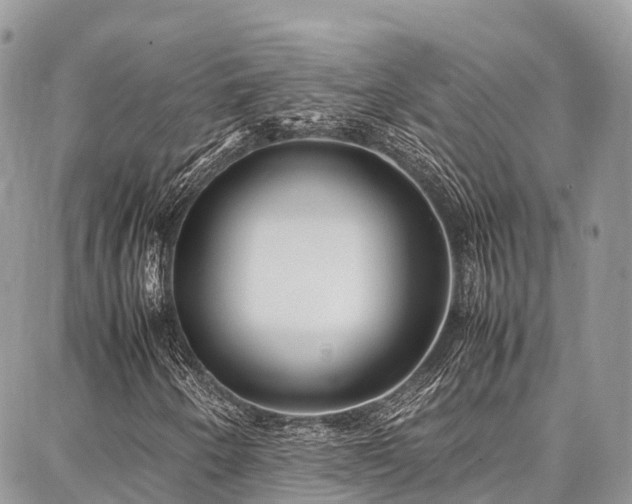 X0000087361250200704201138