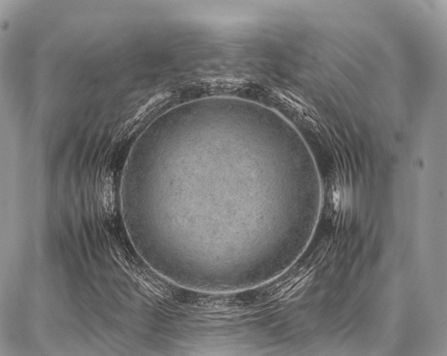 X0000087361252200704201138