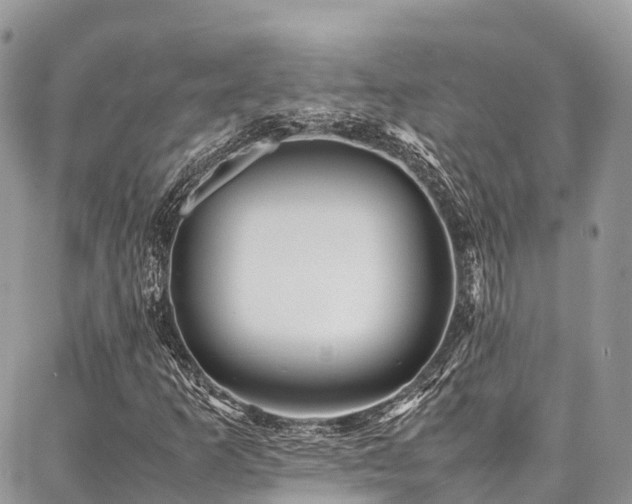 X0000087361253200704201138