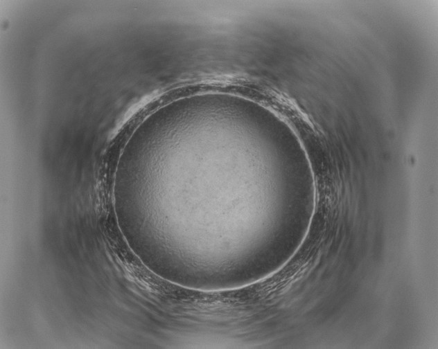 X0000087361256200704201138
