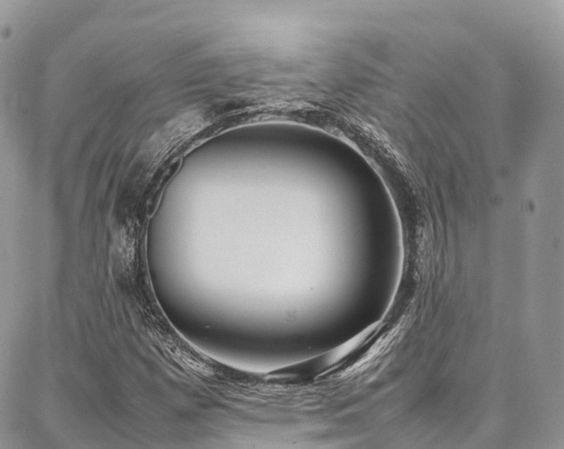 X0000087361257200704201138