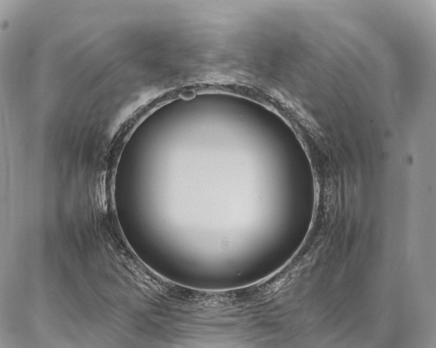 X0000087361262200704201138