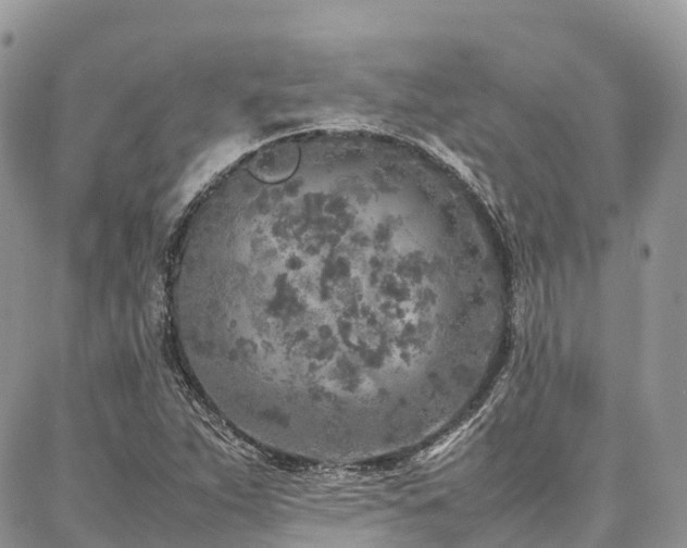 X0000087361263200704201138