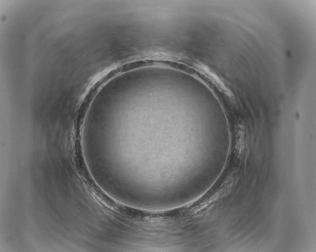 X0000087361264200704201138