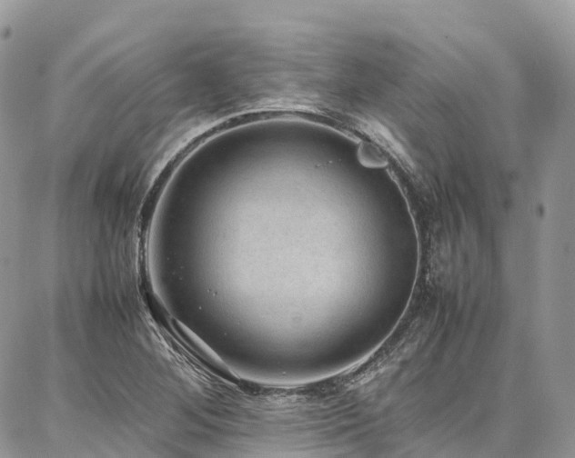 X0000087361268200704201138