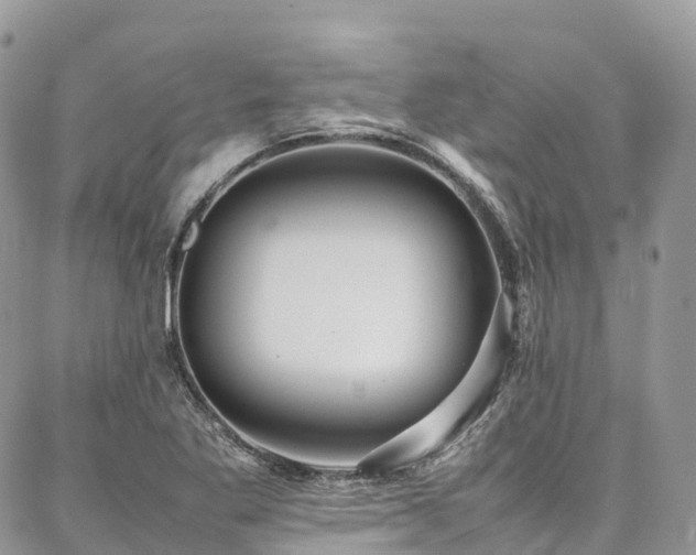 X0000087361269200704201138