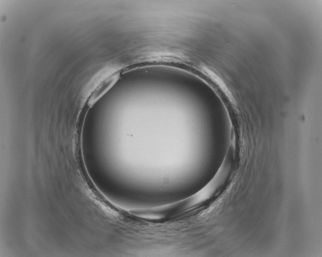 X0000087361277200704201138
