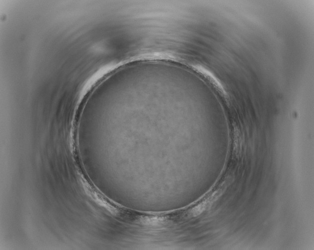 X0000087361278200704201138