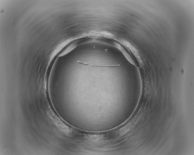 X0000087361280200704201138