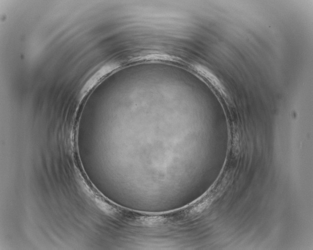 X0000087361282200704201138