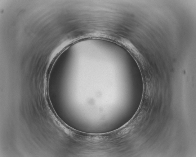 X0000087361286200704201138