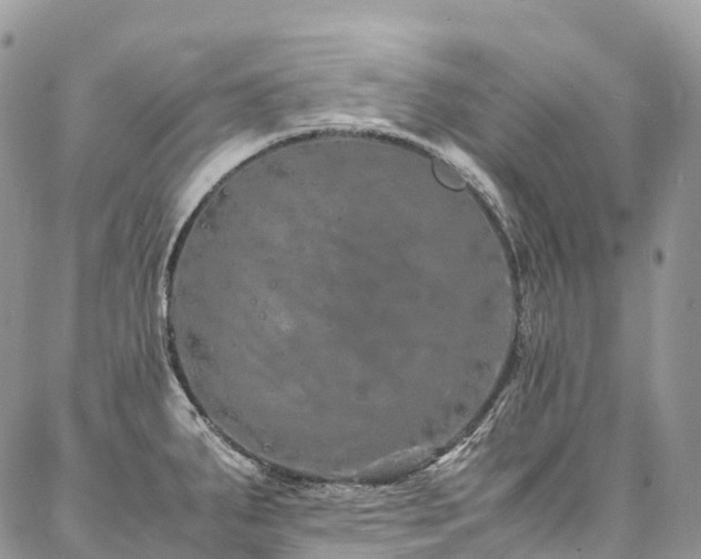 X0000087361287200704201138