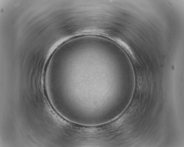 X0000087361288200704201138