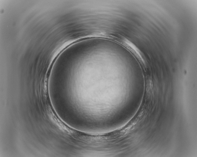 X0000087361292200704201138