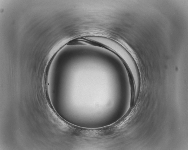 X0000087361293200704201138