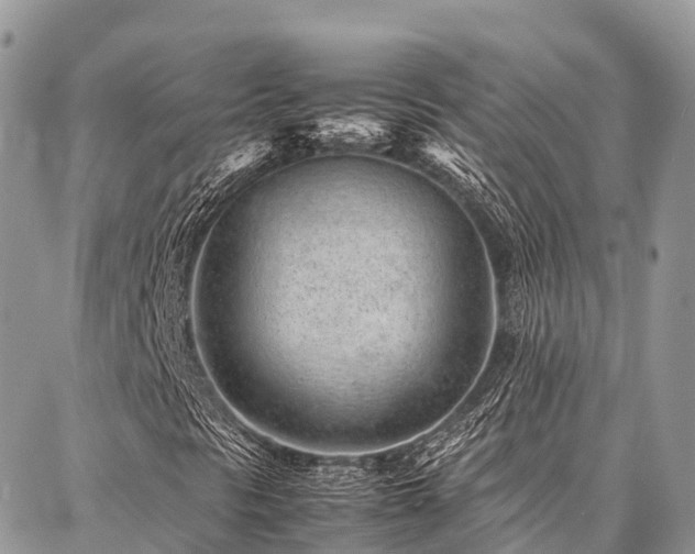 X0000087361297200704201137