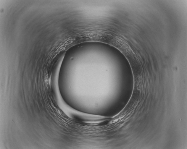 X0000087361298200704201137