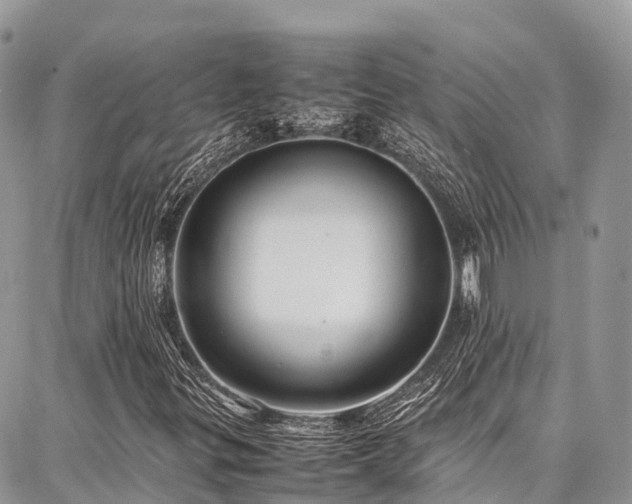 X0000087361299200704201137